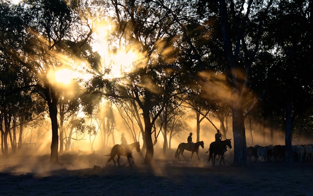 Jump Higher, Ride Smoother: How Accessories Elevate Your Horse Riding Skills
